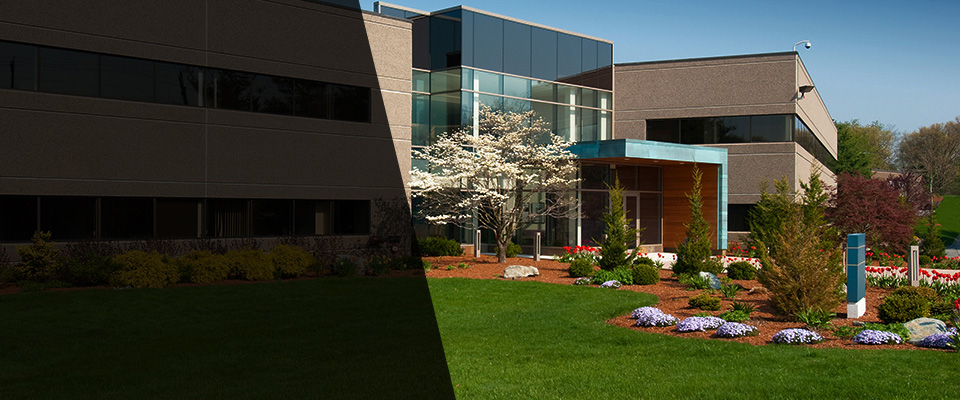 Pocomoke City Landscapers