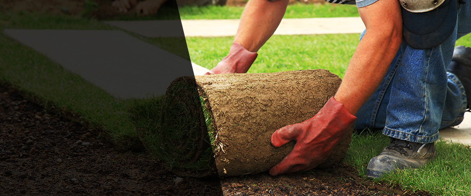 Pocomoke City Landscapers